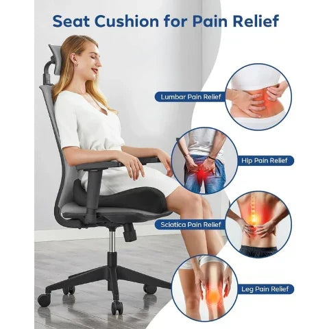 Pioneering Ergonomic Seat Cushions